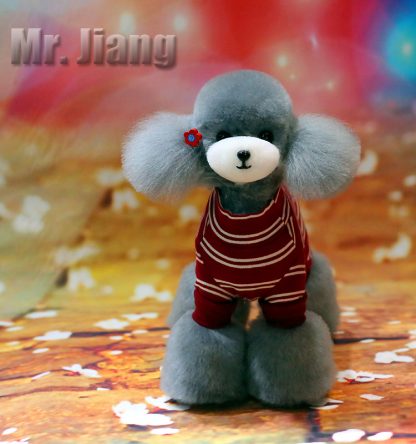 Mr Jiang Fell Teddy silber