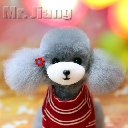 Mr Jiang Fell Teddy silber